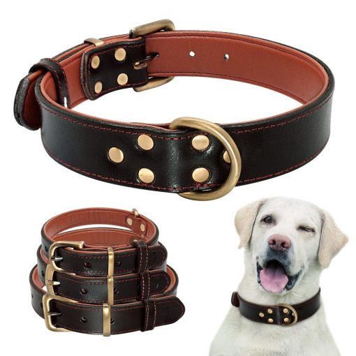 Comfortable Natural Leather Dog Collar - Several Size Options 1