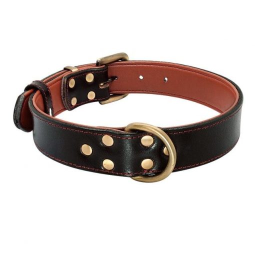 Comfortable Natural Leather Dog Collar - Several Size Options 2