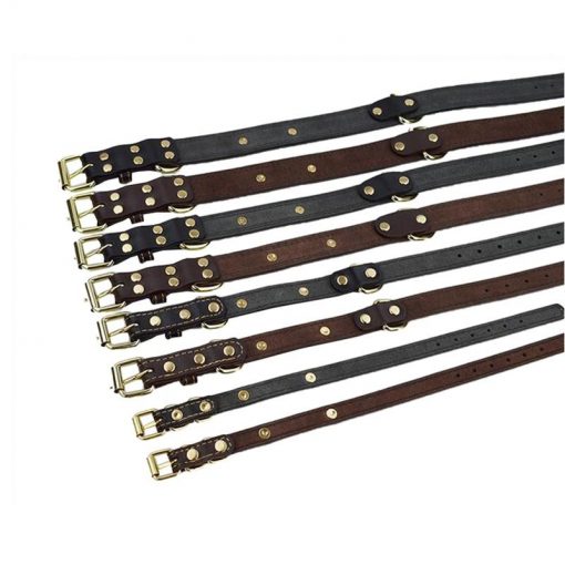 HQ Leather Dog Collar With ID Editable Pad - Various Options 6
