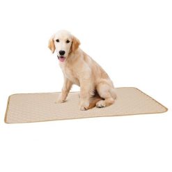 2020 Best Urine Absorbent Dog Pad - Waterproof / Easy To Clean 18