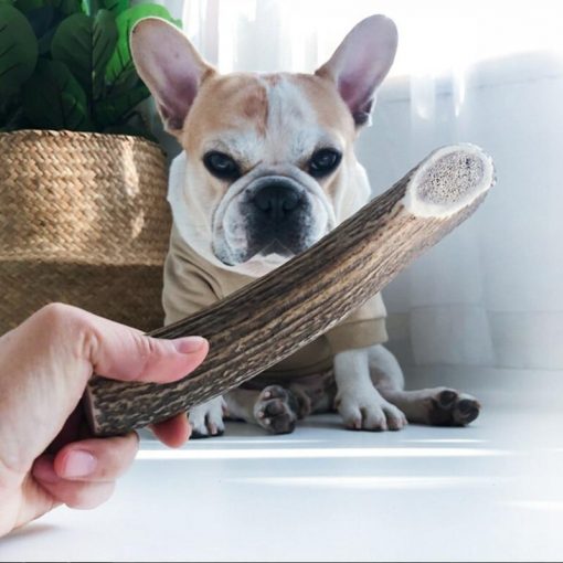 High Quality Chew Antler For Dogs' Teeth Cleaning (2 options) 1