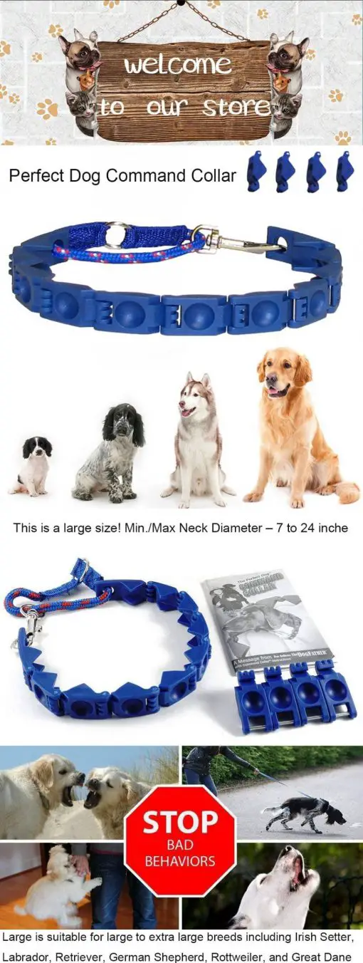2020 Best Adjustable Training Collar For Medium/Bigger Dogs 3
