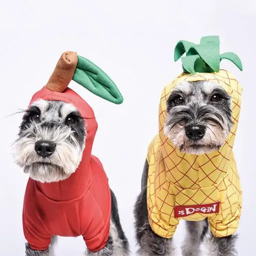 Funny Dog Costumes For Halloween And Summer Outdoor Activities 1