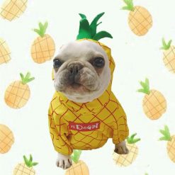 Funny Dog Costumes For Halloween And Summer Outdoor Activities 9