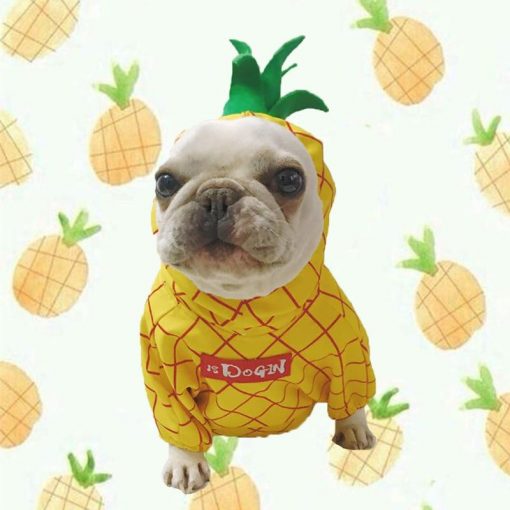 Funny Dog Costumes For Halloween And Summer Outdoor Activities 5