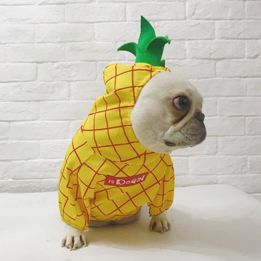 Funny Dog Costumes For Halloween And Summer Outdoor Activities 4