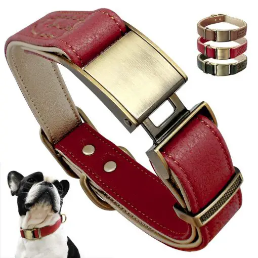 Best Leather Dog Collar - Easy ID Personalized ( several options) 1