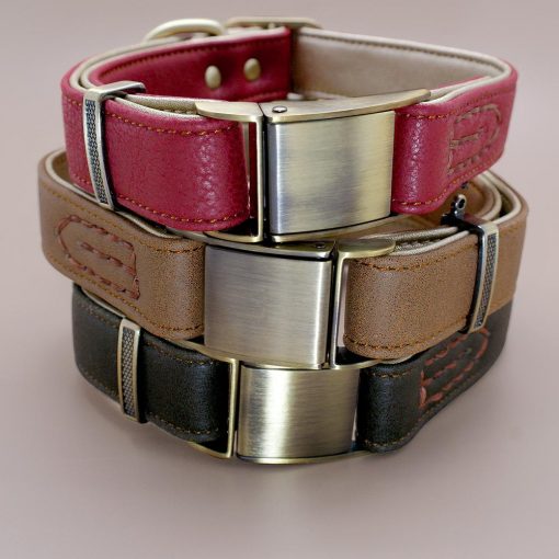 Best Leather Dog Collar - Easy ID Personalized ( several options) 11