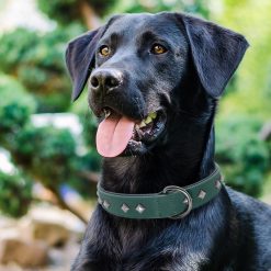 Easily Adjustable Spiked Leather Dog Collar - Medium/Bigger Dogs 16