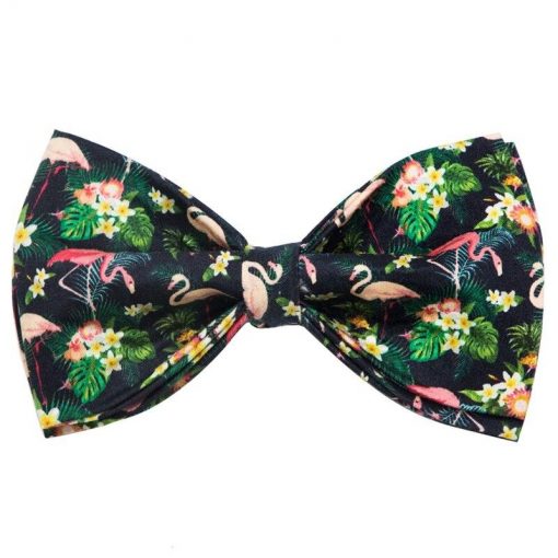 2020 Colorful and Stylish Summer Flamingo Dog collar with Bow Tie 3