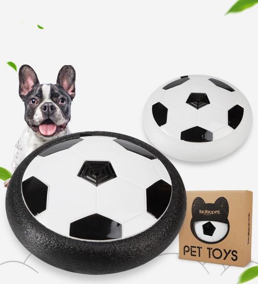Interactive LED Dog Toy