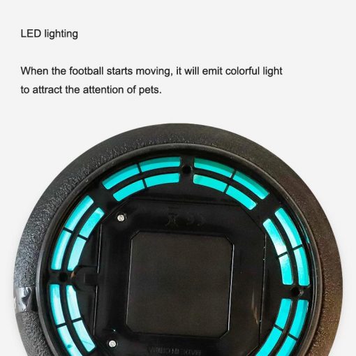 Interactive LED Dog Toy