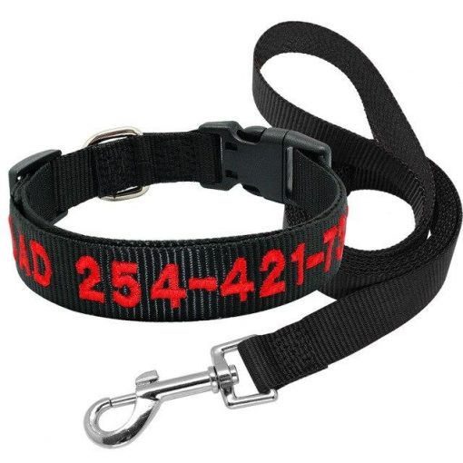 2020 Best High Quality Nylon Easy Adjustable Dog Collar & Leash 2