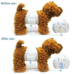 Best Diapers For Male Dogs - Adjustable & Super Absorbent 11