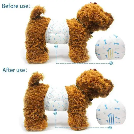 Best Diapers For Male Dogs - Adjustable & Super Absorbent 5