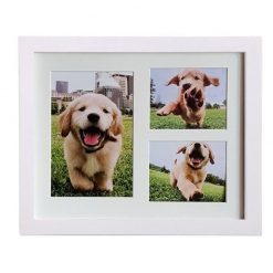 Best Memorial Picture Frame For Your Pet (dogs/cats -several colors) 11
