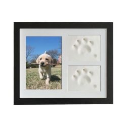 Best Memorial Picture Frame For Your Pet (dogs/cats -several colors) 17