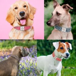 Easy ID personalized Nylon Dog Collar - Large and Soft Collar 20