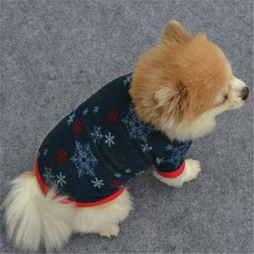 Puppy Christmas Sweaters Stunning Pets