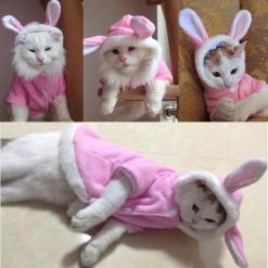 Rabbit Costume for Cats and Small Dogs Stunning Pets