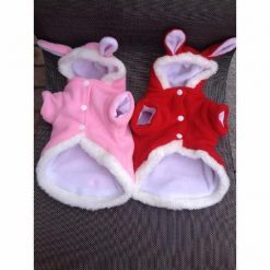 Rabbit Costume for Cats and Small Dogs Stunning Pets 