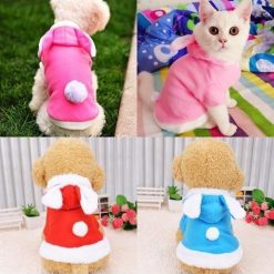 Rabbit Costume for Cats and Small Dogs Stunning Pets 