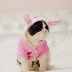 Rabbit Costume for Cats and Small Dogs Stunning Pets