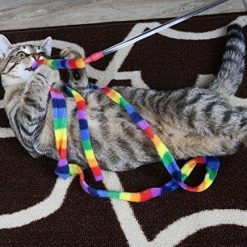 Rainbow Cat Charmer Stunning Pets 