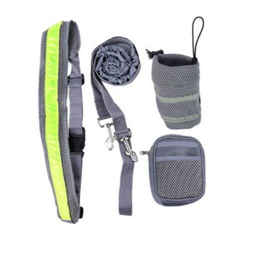 Reflective Hands-Free Dog Leash | Enjoy All Outdoor Activities with Your Dog! GlamorousDogs