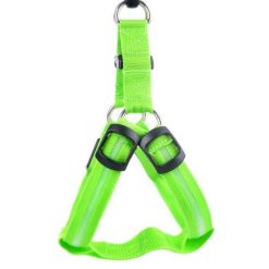Reflective Night Safety LED Vest to Keep You and Your Dog Safe Stunning Pets Green L 