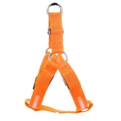 Reflective Night Safety LED Vest to Keep You and Your Dog Safe Stunning Pets Orange L