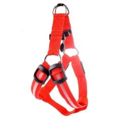 Reflective Night Safety LED Vest to Keep You and Your Dog Safe Stunning Pets Red L 