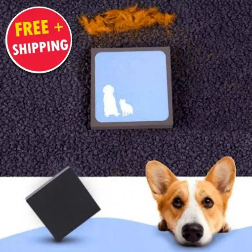Reusable Pet Hair Cleaner | Remove Pet Hair Instantly! ???? FREE ???? Fur Remover Pawing Store