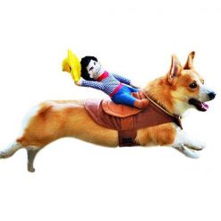 Ride Em' Cowboy Dog Costume Stunning Pets