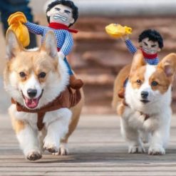 Ride Em' Cowboy Dog Costume Stunning Pets