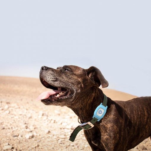 SAFETRACKER™: A Water-Proof Wireless Dog Collar Pet Collar GPS Tracker GlamorousDogs