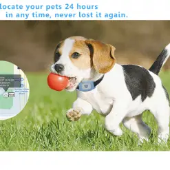 SAFETRACKER™: A Water-Proof Wireless Dog Collar Pet Collar GPS Tracker GlamorousDogs 