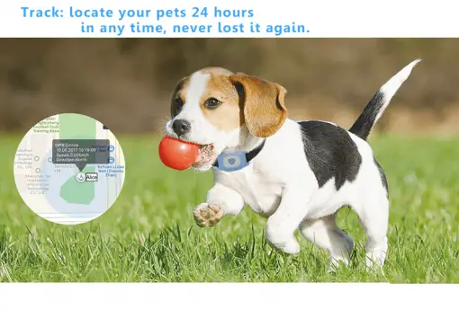 SAFETRACKER™: A Water-Proof Wireless Dog Collar Pet Collar GPS Tracker GlamorousDogs