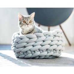 SOFAHOUSE™: The Elegant Cotton Wool House Your Pet Needs This Winter Wool Pet Sofa GlamorousDogs 