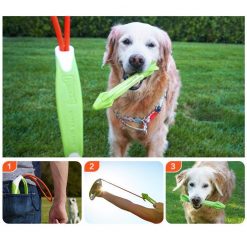 Spring Fun Pull and Shoot Toy Kit Stunning Pets Green M