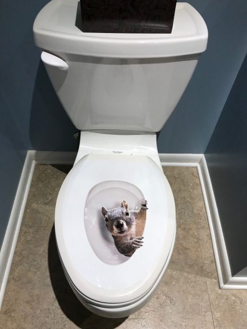 Squirrel Toilet Seat Decal Sticker Stunning Pets