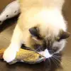 Stimulating Fish Toy For Cats and Dogs Stunning Pets 