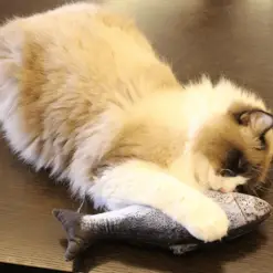Stimulating Fish Toy For Cats and Dogs Stunning Pets 