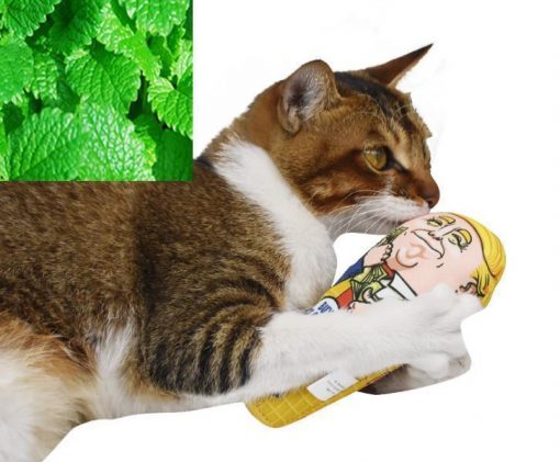 Stimulating Ice Cream Trump Catnip Toy For Cats Stunning Pets