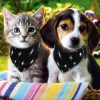 STYLISH ADJUSTABLE BANDANA FOR PUPPIES/CATS Stunning Pets 