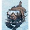 Stylish Waterproof Dog Goggles | Best Gadgets for Dog Lovers July Test GlamorousDogs 