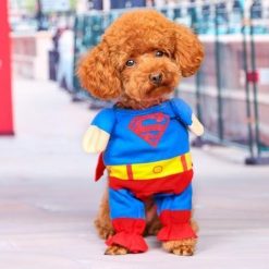 Superhero 'Super Man' Outfit for Small Dogs Stunning Pets 