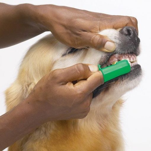Super Soft Pet Finger Toothbrush Stunning Pets