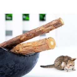 TASTY™: Natural Catnip Chewing Sticks Stunning Pets 
