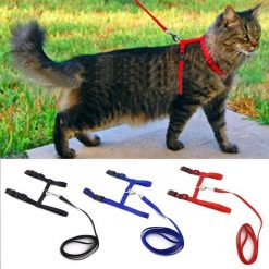 The Adjustable Cat Leash Stunning Pets 